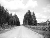 Väg i Söderfors socken, Uppland juni 1930