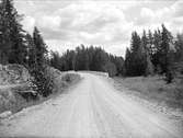 Väg i Söderfors socken, Uppland juni 1930