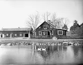 Gårdsmiljö vid damm med ankor, Vaksala, Uppsala 1933