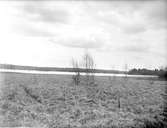 Stennässjön, Skogs-Tibble socken, Uppland 1933