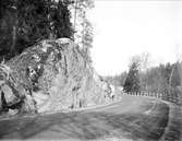 Stort stenblock, den av vissa kallade Lurboklippan, vid sidan av vägen i Lurbo, Gottsunda, Uppsala i april 1934