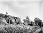 Gård mellan Skärfälten och Lörsta, Uppsala-Näs socken, Uppland i oktober 1933