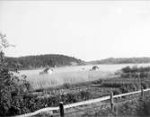 Sjön Trehörningen, Funbo socken, Uppland juni 1934