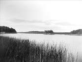 Sjön Trehörningen, vid Marielund, Funbo socken, Uppland juni 1934