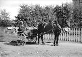 Hästekipage, sannolikt Uppsala 1901