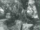 Exteriör. Lantgård. Mangårdsbyggnaden till höger. Bilden tagen mot norr.