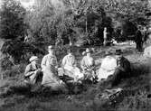 Ett antal sällskap på utflykt som sitter och har picnic i en hage, omgärdad av lövskog. Sällskapet närmast kameran är propert klädda och damerna har tjusiga hattar.
