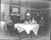 En samling personer i finrummet med julgran, katt i knät och virkade dukar. Från Hylte.