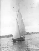 Enl. text i blå bok: 