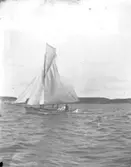 Enl. text i blå bok: 