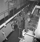 Interiör från 121 M/T Amazonas, maskinrum.