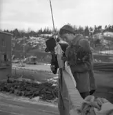 Sjösättning av 123 M/S Monica Smith. Flickan på bilden är fartygets gudmor.