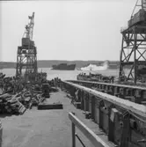 Dop och sjösättning av fartyget 153 M/S Truth.