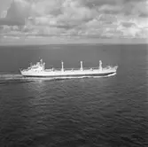 B/C Ariel DWT. 18.100
Rederi C.H Sörensen & Sönner, Arendal
Kölsträckning 60-10-31 Nr. 200
Leverans 61-08-21
Bulkfartyg