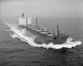 OBO Thorgull D.W.T. 54.500
Rederi Olof Tönnevold & Sönner, Grimstad Norge
Kölsträckning 81-09-07 Nr. 319
Leverans 82-04-07
Obofartyg