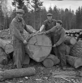 Virkesmätare på Flicksäter.