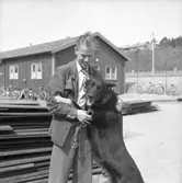 Vakthund på varvet.