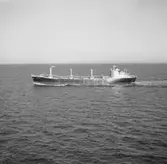 Fartyg nr. 193 B/C Norse Lady, bulkfartyg.