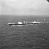 Fartyg nr. 203 T/T Burl S. Watson, tankfartyg.