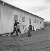 Vakthund på varvet.