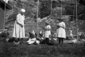 Mamma med döttrarna matar gårdens höns