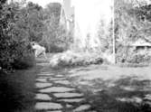 Från en trädgård på Helgonabacken i Uddevalla på 1940-talet.