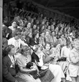 Publik på  BMK motortävling