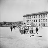 Svenska Flaggans Dag firas i Uddevalla den 6 juni 1950