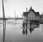 Översvämning av området runt badhuset i Uddevalla, tre pojkar vadar genom vattnet