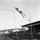 Stavhoppare IK Orient