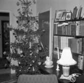 Jul hos familjen Andersson i Uddevalla 1956