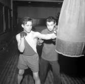 Ungerska boxare i Uddevalla idrottshall januari 1957