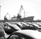 Bilar tillverkade på Saab-fabriken i Trollhättan i väntan på export i Uddevalla hamn i maj 1959