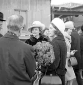 Dop av M/S Norse Lion