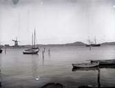 Kvarnholmen o. Drott. Den 23 Juli 1895.