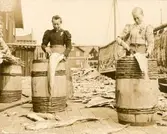 Rensning av spillånga vid Martin Hanssons beredning Mollösund. Bakom dem skymtar ställning med upphängd spillånga

Kvinnorna har klätt upp sig och placerats på planen för fotografens skull. Fläckningen skedde ju normalt inne i salteriet. Till vänster syns Berta Nilsson gift Malmqvist (1880-1947) och till höger Ida Svensson gift Johansson (1882-1959).