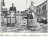 Tryckt text på kortet: 