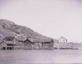 Hamnen med Gästgiveribryggan i Rågårdsvik 1904.