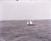 Enligt text som medföljde bilden: 