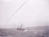 Enligt text som medföljde bilden: 