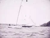 Enligt text som medföljde bilden: 