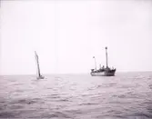 Enligt text som medföljde bilden: 