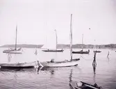 Enligt text som medföljde bilden: 