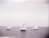 Enligt text som medföljde bilden: 