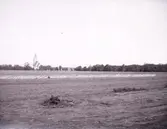 Enligt text som medföljde bilden: 