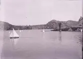 Kappsegling med modellbåtar 7 juli 1901