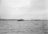 Torpedbåtarna METEOR och STJERNA vid Lysekil 1899