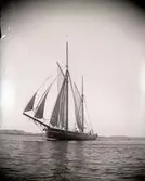 Enligt text som medföljde bilden: 