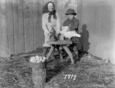 Äggplockning på Skistad Västergård