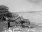 Hästar på Köttö, Fjällbacka skärgård 1921